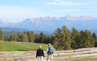 Summer at Mölten, South Tyrol